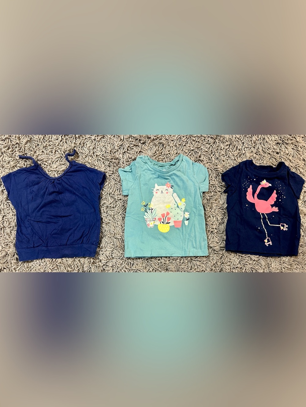 Carter's Aqua Cat & Succulent Graphic Tee
